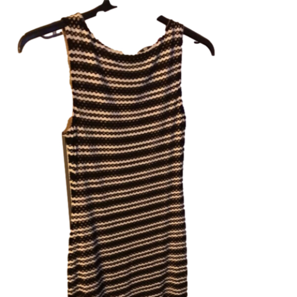 𝅺Bailey44 dress